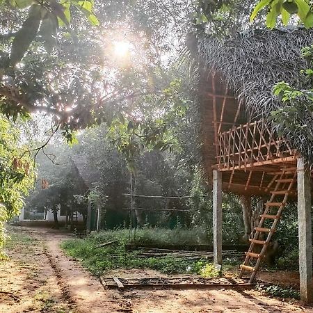 Отель Art Forest Ауровиль Экстерьер фото