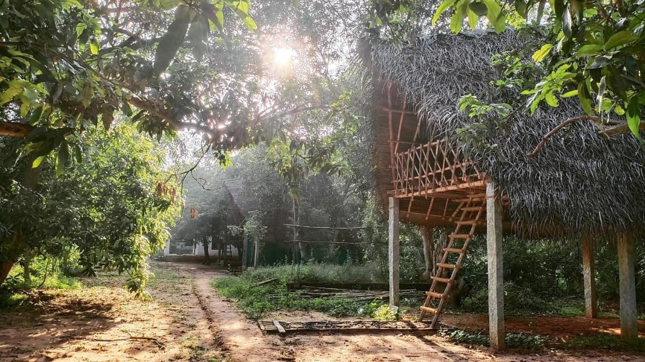 Отель Art Forest Ауровиль Экстерьер фото